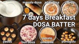 life cycle of dosa batter - 7 days breakfast - masala, podi, uttapam, appe, bun, omelet & punugulu