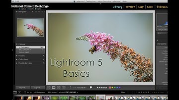 Adobe Lightroom 5: Noise Reduction