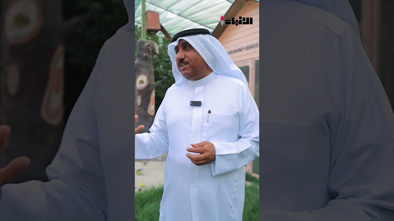 في محمية الكريباني ..صيف الكويت 24 درجة، 450 طائراً نادراً في المحميّة #الأنباء_ديجيتال#سياحة_الكويت