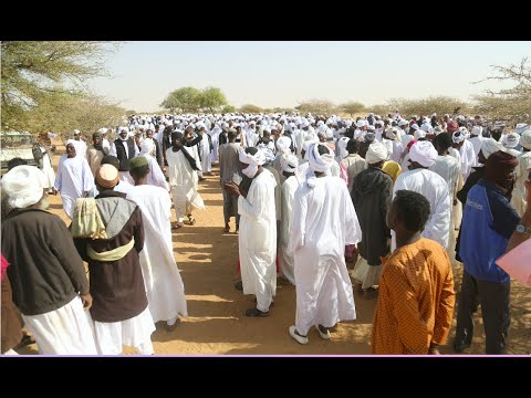 ناظر وعمد ومشايخ وابناء قبائل دار حامد يستقبلون وفد ناظر وابناء الكبابيش