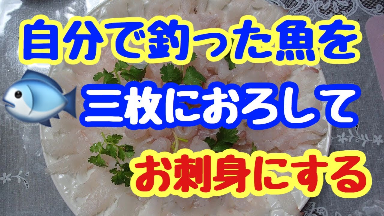 自分で釣った魚を三枚におろしてお刺身で食べたい Youtube
