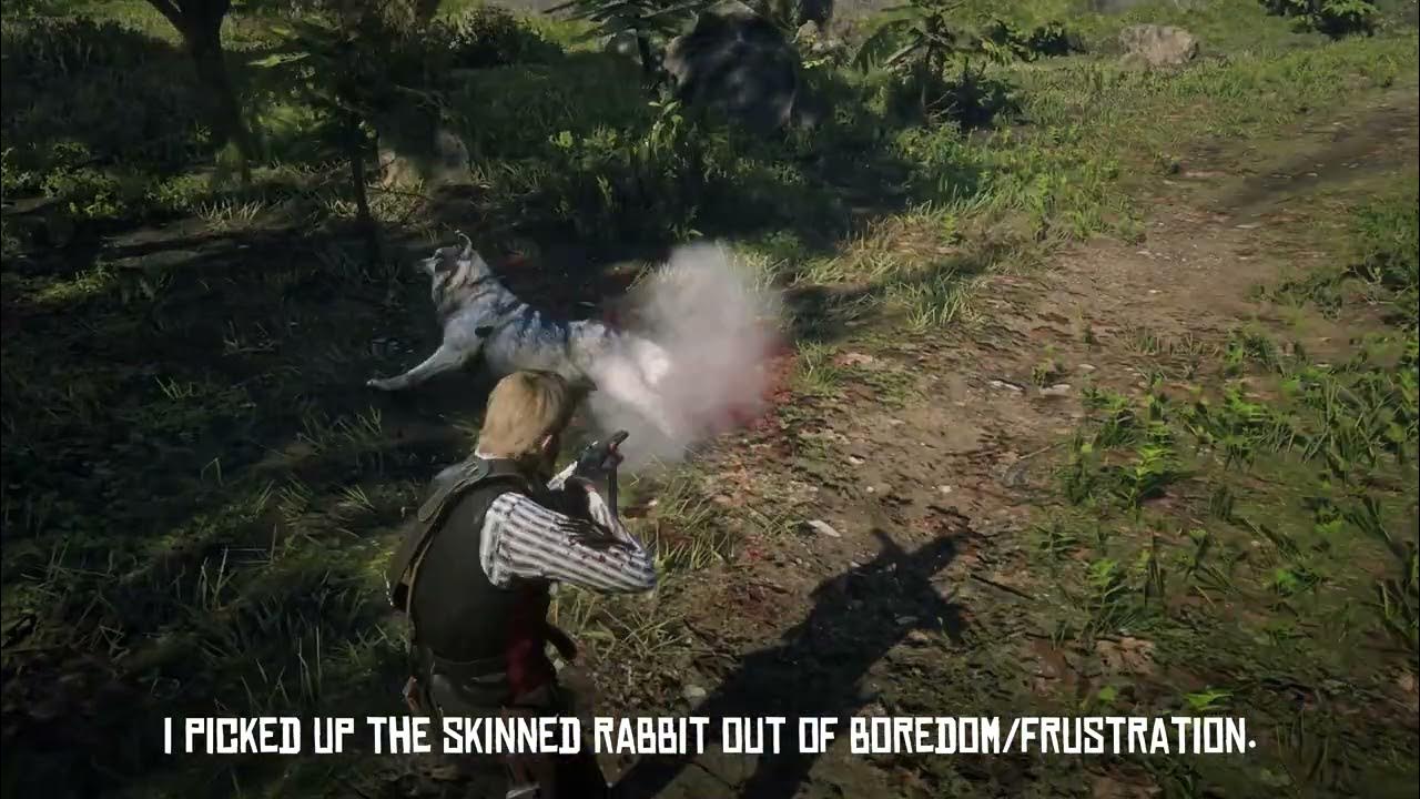 What happens if you steal Charlotte's skinned rabbit? (RDR2 glitch