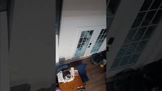 Grizzly Bear Attempts Home Invasion