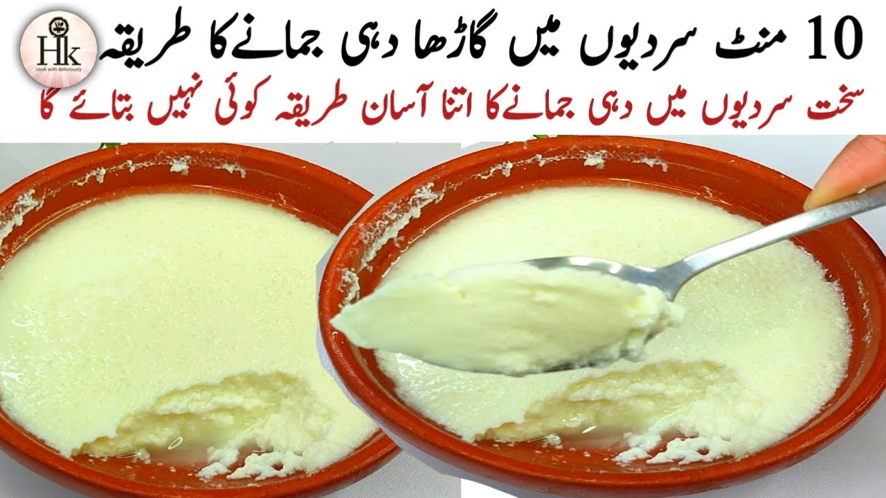 In 10 Mintues How To Make Curd At Home In Winter Curd Recipe