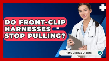 Do Front-clip Harnesses Stop Pulling? - PetGuide360.com