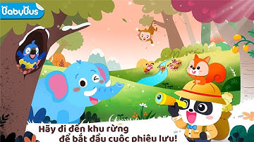 Babybus Gấu Trúc Nhỏ - Cuộc Phiêu Lưu Trong Rừng của Gấu Trúc Nhỏ - Babytiger for Kids