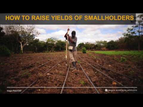 Building Sustainable Futures Forum - Andrew Steer (President & CEO, WRI) Sets the Context