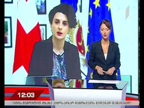 ნათია მეზვრიშვილის განცხადება