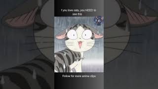 Chi’s Sweet Home: The Cutest Kitten Anime Ever 🐾💕