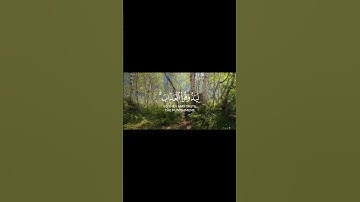 سورة النساء الآية ( 56 )                                  Surah An-Nisa, verse (56)