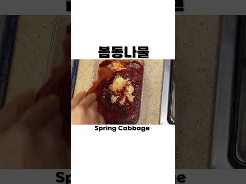제철 <strong>봄동나물</strong> 챱챱 무쳐서 비빔밥으로 만들어먹기! 봄동겉절이 레시피 Spring Cabbage Kimchi Mukbang Shorts Ssoyoung