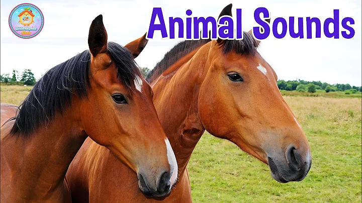 Animal Sounds for Children ( 20 Amazing Animal) Animals Sound For Kids | with animals name for kids 