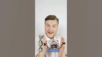 Эухроматин и гетерохроматин. ЕГЭ Биология. ЕГЭ 2022.