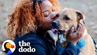 People Kept Asking Woman If Her Pittie Was A Killer | The Dodo