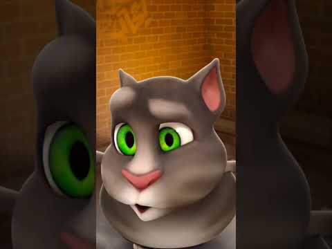#cat videos now new video Bhilai wala