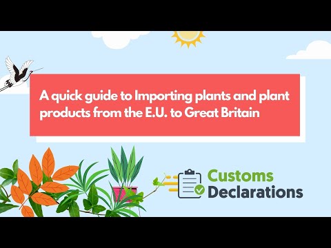 Customs Declarations A quick guide to Importing plants and plant products from the E U  to UK