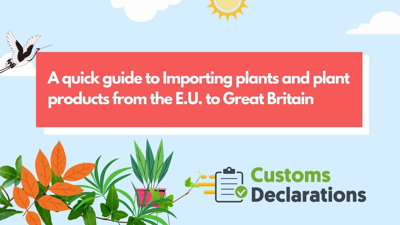 Customs Declarations A quick guide to Importing plants and plant products  from the E U to UK