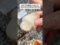 ロピアの寿司バイキング、寿司ネタデカすぎるwww