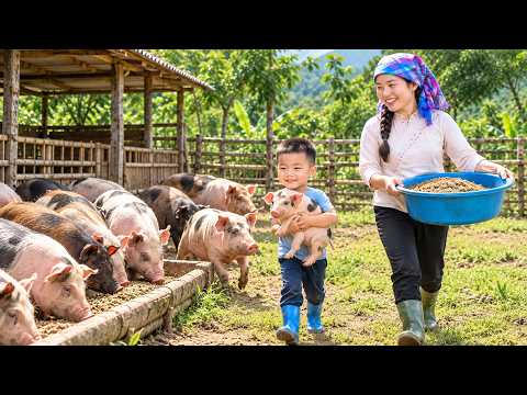 365 Days Raising Pigs With My Child — A Single Mother’s Journey to a Better Life