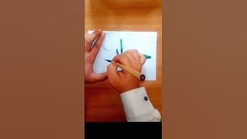 arabic calligraphy name muhammadﷺ hijazi