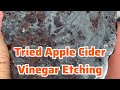 Tried a little apple cider vinegar for Lorie #rocks #lapidary #meteorite
