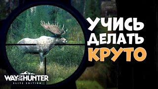 Урон / Ранения / Кровотечения / ГАЙД Way Of The Hunter