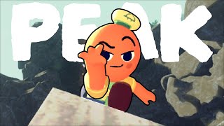 Download Lagu My 'Friend' Left me on the Side of the Mountain in Peak! MP3 Download Lagu My 'Friend' Left me on the Side of the Mountain in Peak! MP3