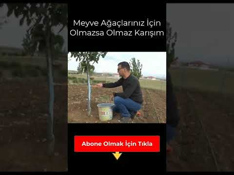 Video: 7. Bölge Elmaları: 7. Bölge Bahçelerine Elma Ağacı Dikme İpuçları