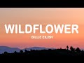 Billie Eilish WILDFLOWER Lyrics