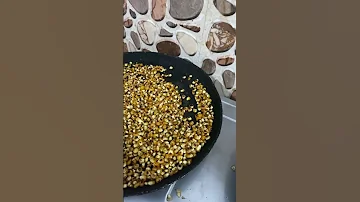 Roasted Jwar Sorghum Jwar Desi Shorts 