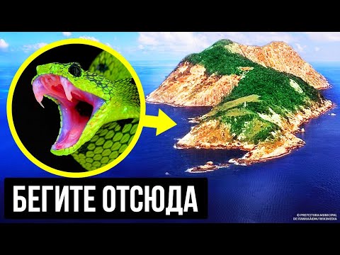 Video: Odakle Zmija Svoj Otrov?