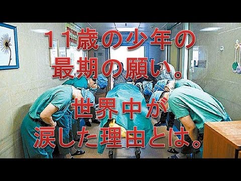 泣ける話 実話 11歳の少年の最期の願い 世界中が涙した理由とは Youtube 泣ける話 実話 11歳の少年の最期の願い 世界中が涙した理由とは Youtube