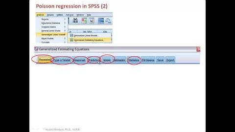 Lesson 25 (２) Poisson Regression SPSS - 新谷歩