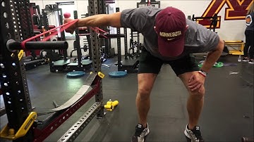 Torso Parallel Rear Delt Top Position Pronated Rebound Shock Triphasic Training