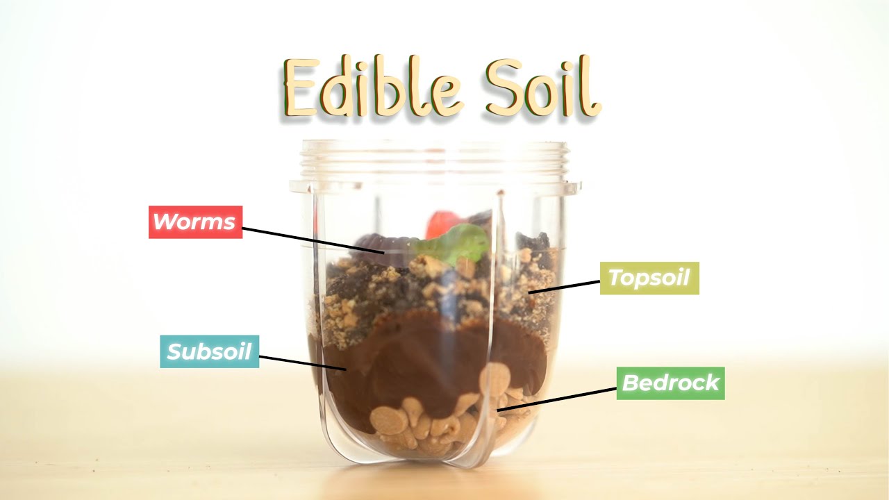 How to make Mama Judy's go-to soil mix with three ingredients! 👩🏻‍🌾  #shorts #urbangarden #soil 