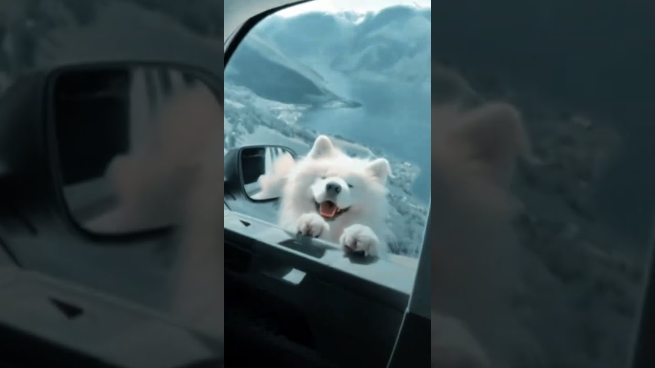 Ballads from the Road | Trilha Sonora da Estrada