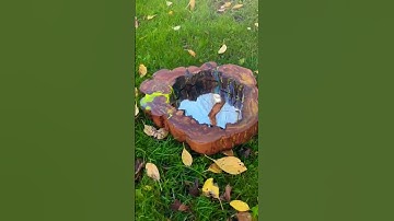 Rustic-Modern Mirror Frame from a Apple Wooden Stump | WOM.DESIGN #mirror  #woodworking