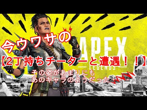 今ウワサの【2丁持ちチーターと遭遇】