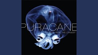 Video thumbnail of "Puracane - You Should've Stayed"