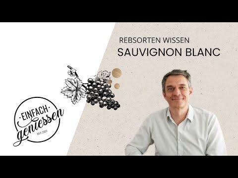 Diese Rebsorte müssen sie kennen - Sauvignon Blanc