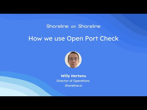 Shoreline on Shoreline: Open Port Check