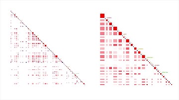 Introduction to Discursis