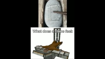 SCP meme part 38 | #scp #shorts #meme #memescp #scpmemes #scpmeme #scpfoundation #scps #classd