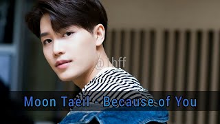 Moon Taeil - Because of You (1 Hour)