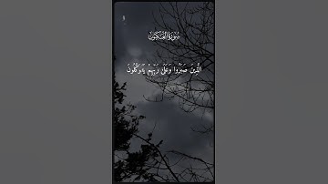 الَّذينَ صَبَروا وَعَلى رَبِّهِم يَتَوَكَّلونَ | سورة العنكبوت | #quran  #قرآن #محمود_خليل_الحصري