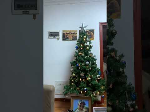 Как мы встретили Новый Год в Китае #shorts #жизньвкитае #китай