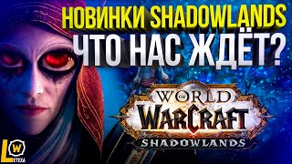 НОВИНКИ, ДАТА ВЫХОДА, ОБЗОР BETA SHADOWLANDS