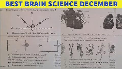 Best Brain Science 2024 December Mock Section B and A Questions and Answers