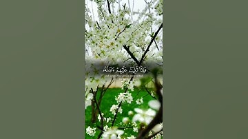#القرآن_الكريم #تلاوة_خاشعة #تلاوات #تيك_توك #تلاوه #لايك #تيكتوك