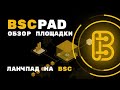 BSCPAD — ланчпад на BSC. Обзор площадки. Как заработать на ICO !